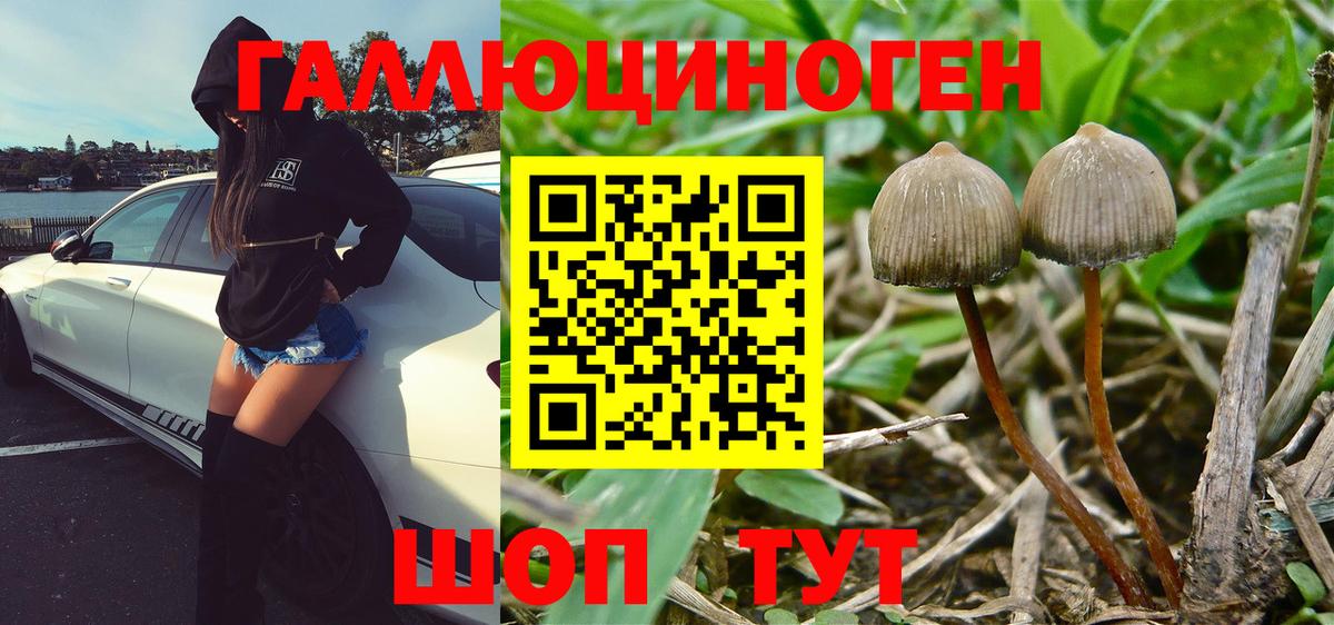 Галлюциногенные грибы прущие грибы Кимры